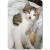 猫1枠.jpg