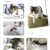 猫5枠.jpg
