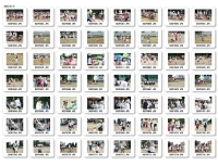 運動会白.jpg