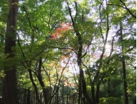 DSCF6436-2.jpg